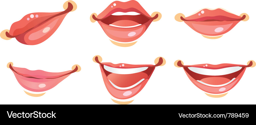 Sexy woman smile lips vector image