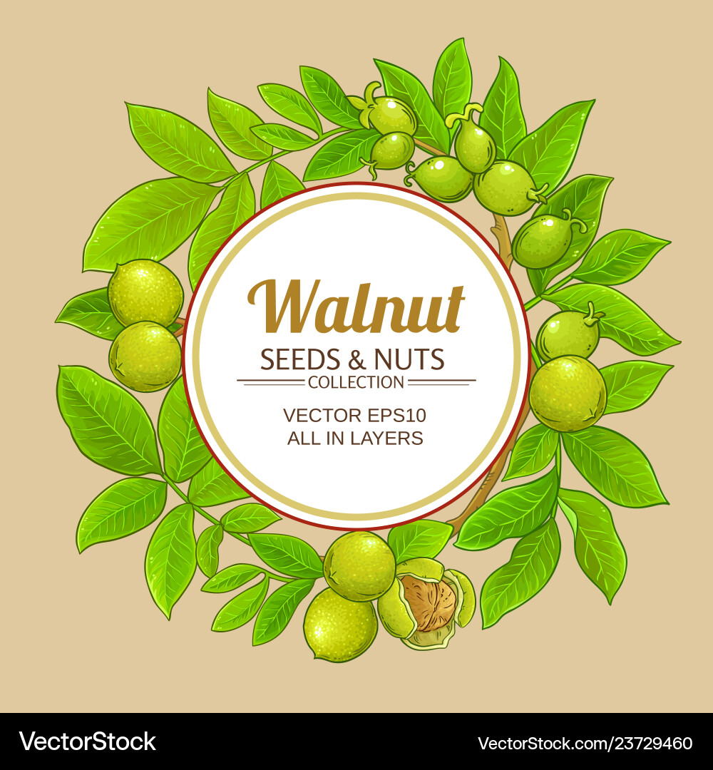 Walnut Frame with Leafy Elements vector image