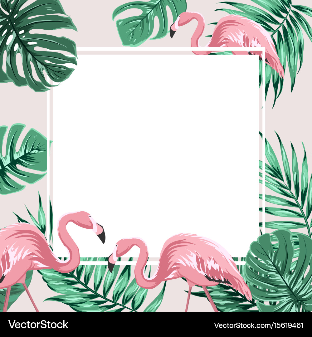 Tropical Palm Leaves Flamingo Frame Vector Image