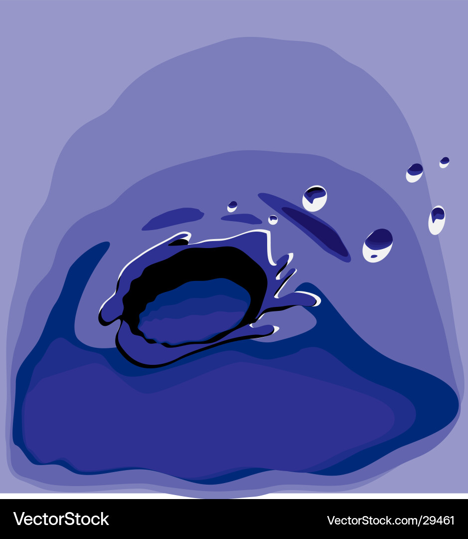 Water splash Royalty Free Vector Image - VectorStock