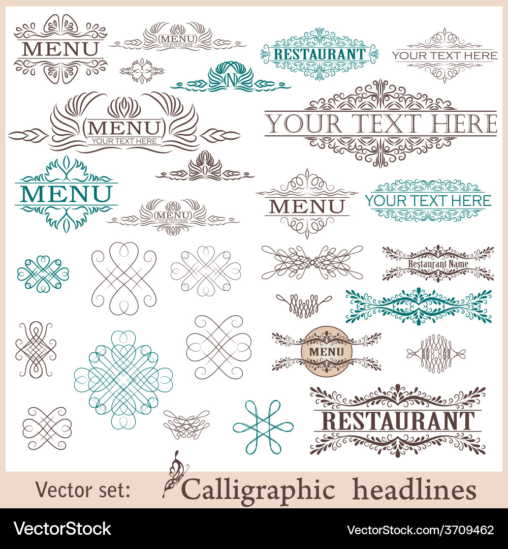 Elegant Calligraphic Elements vector image