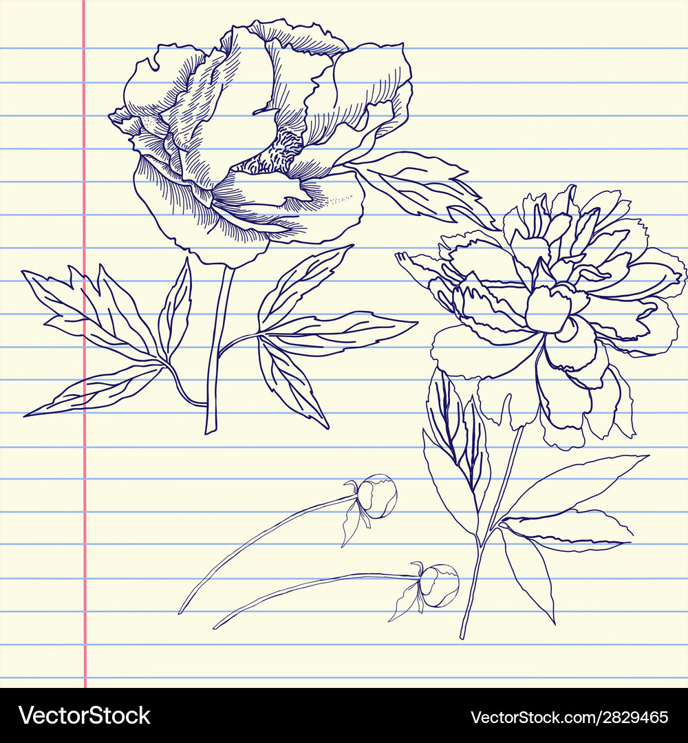 Notebook set with peonies Vector Image
