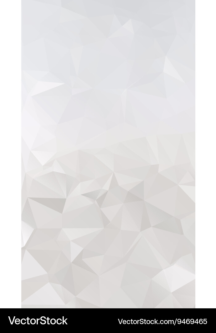 Silver Triangular Polygon Background vector image