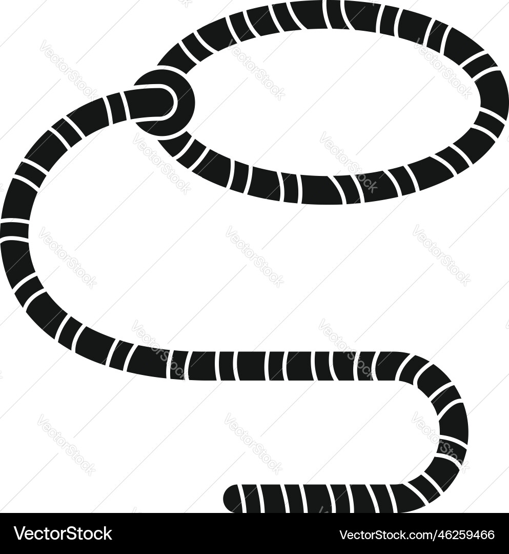 String lasso icon simple line loop vector image