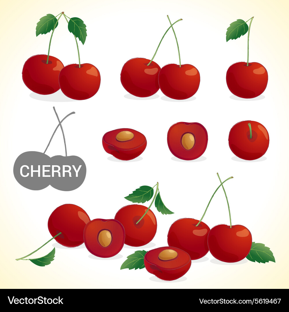 Set of cherry in various styles and format Vector Image
