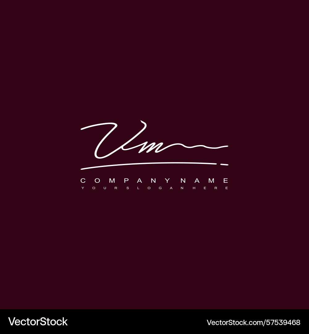Signature style vm initial logos initials logo Vector Image