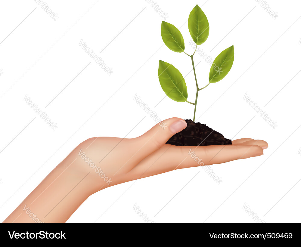 Plant Care and Growth Vector Image