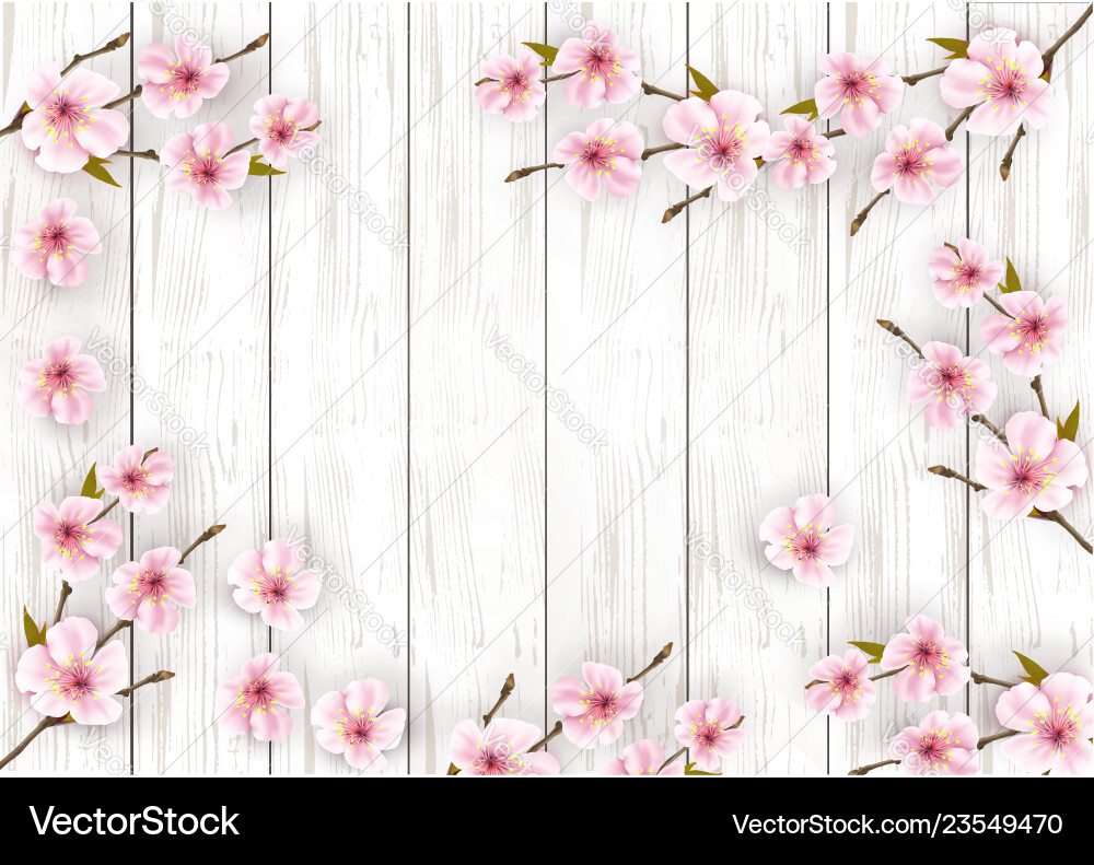 Sakura japan cherry branch with a pink flowers Sakura japan cherry branch with a pink flowers vector image