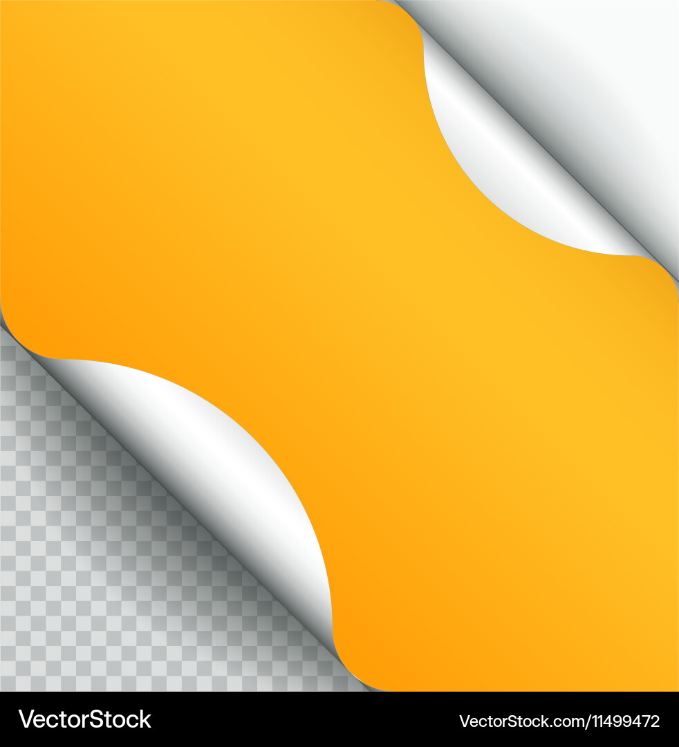 Color paper page curl with shadow isolated vector image
