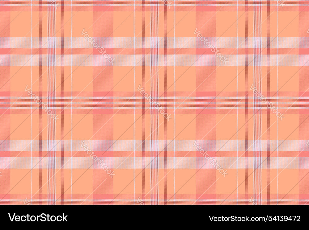 Performance check tartan texture hippie pattern Vector Image