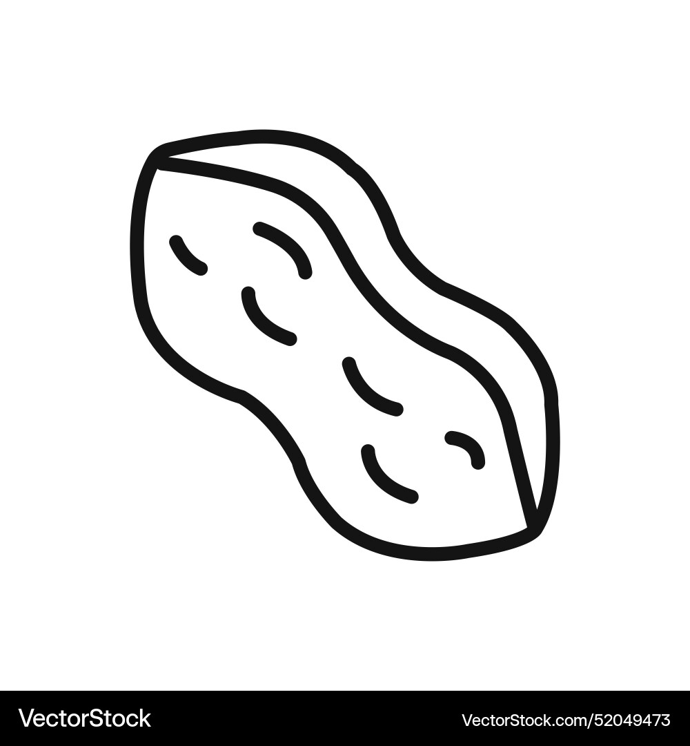 Peanut icon linear graphics sign Vector Image