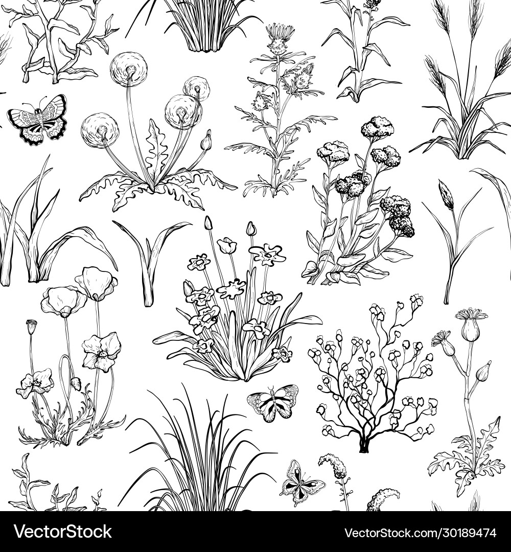 Botanical Black and White Pattern Vector Image
