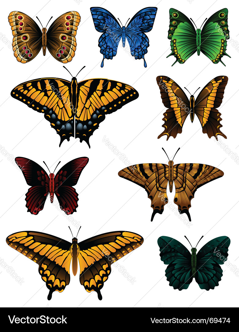 Colorful Butterfly Collection Vector Image
