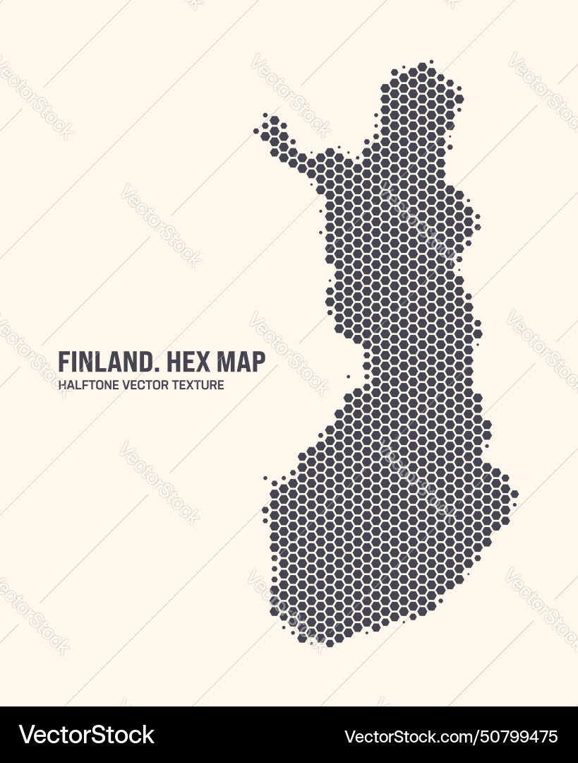 Finland Hexagonal Map Pattern vector image