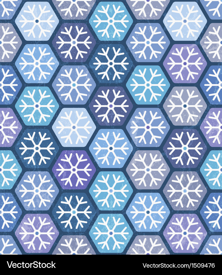 Geometric Snowflake Pattern Vector Image