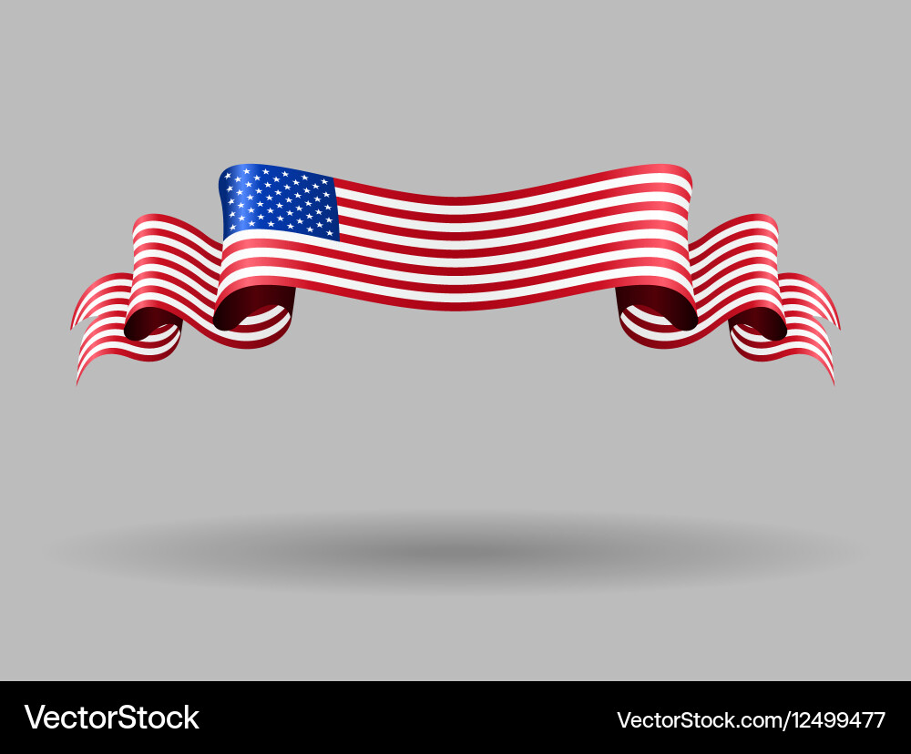 Wavy American Flag vector image