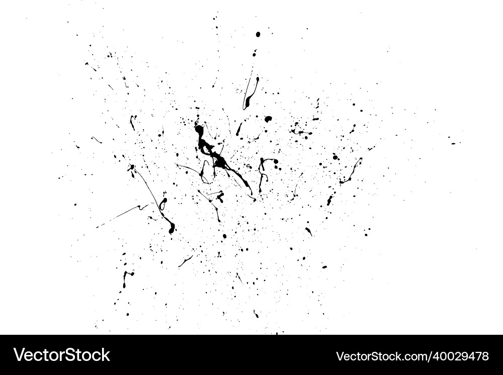 Black blobs isolated on white vector image