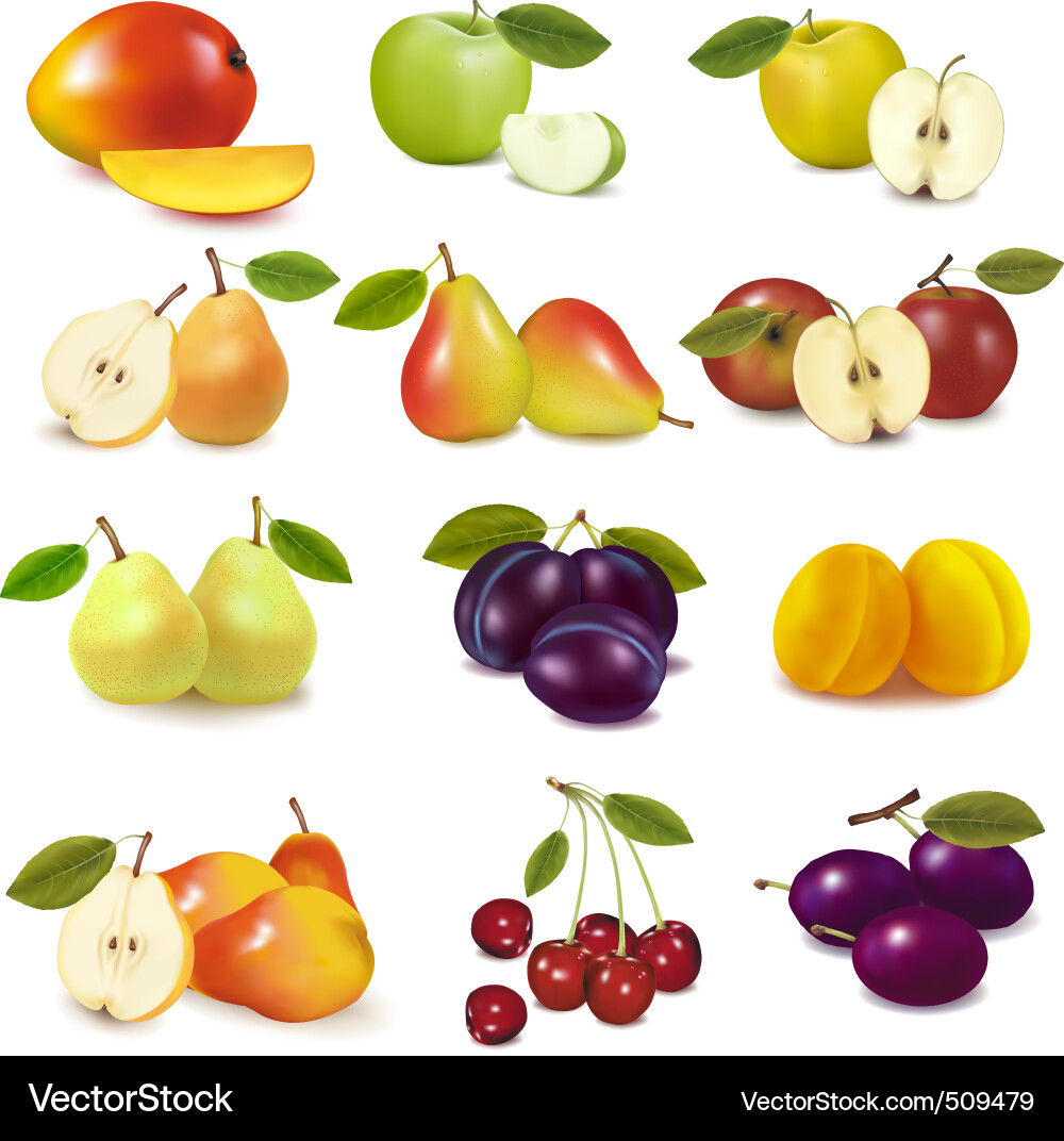 Assortment of Fresh Fruits Vector Image