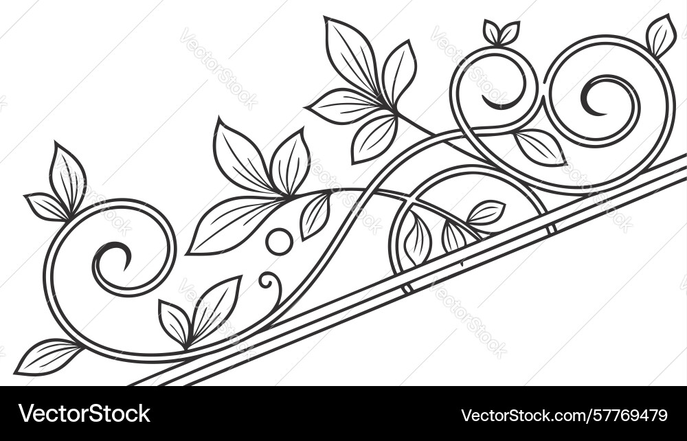 Intricate floral scroll design with elegant vines Vector Image