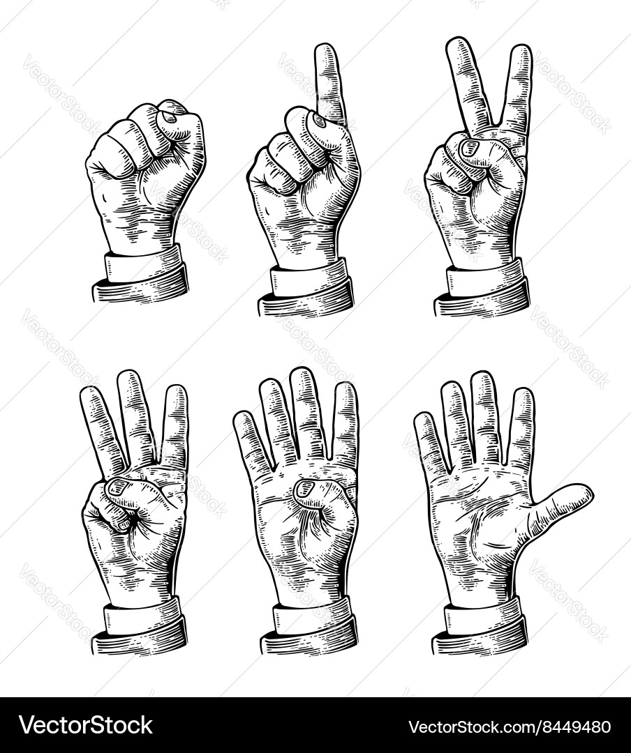 Hand Counting Gesture Set vector image