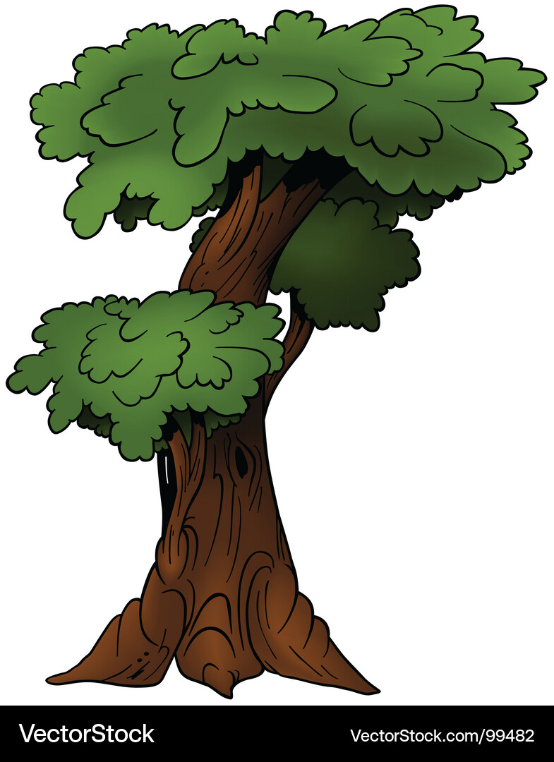 Cartoon Tree Vector Image