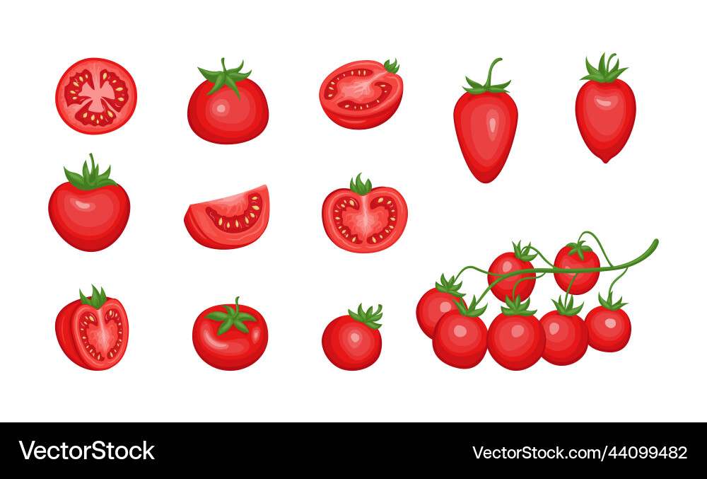 Cherry tomato icons red fresh raw vegetables Cherry tomato icons red fresh raw vegetables vector image