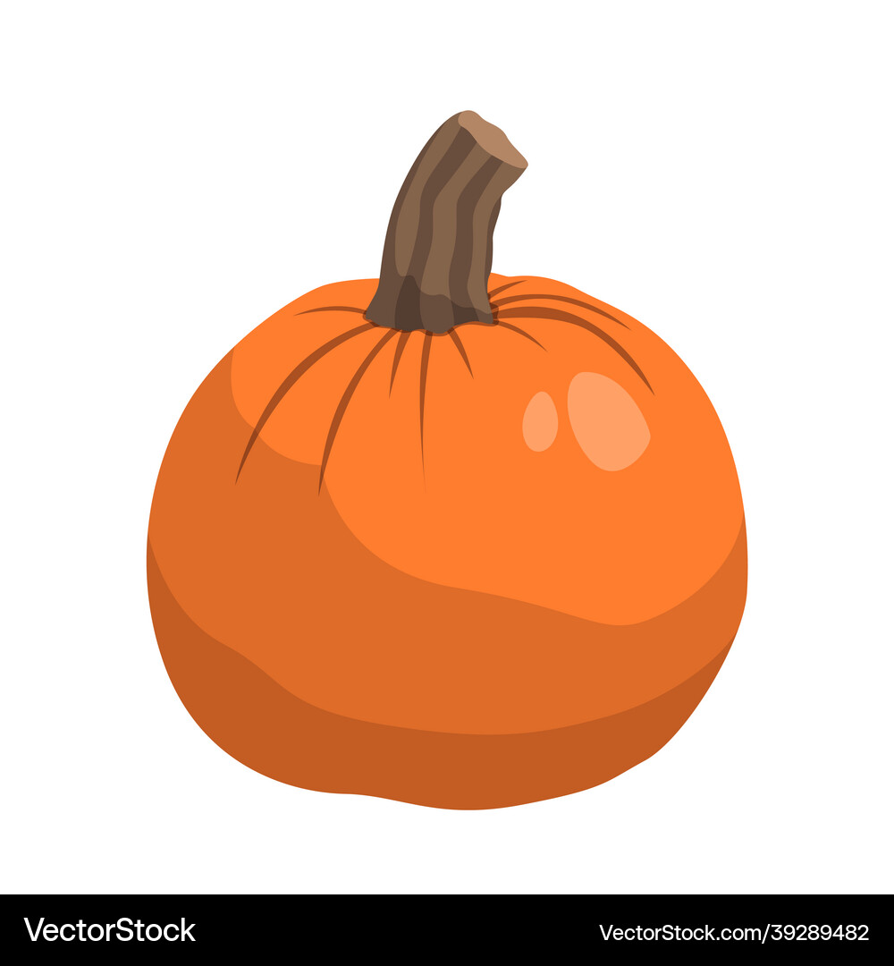 Realistic big orange pumpkin on white background – Royalty-Free Vector |  VectorStock