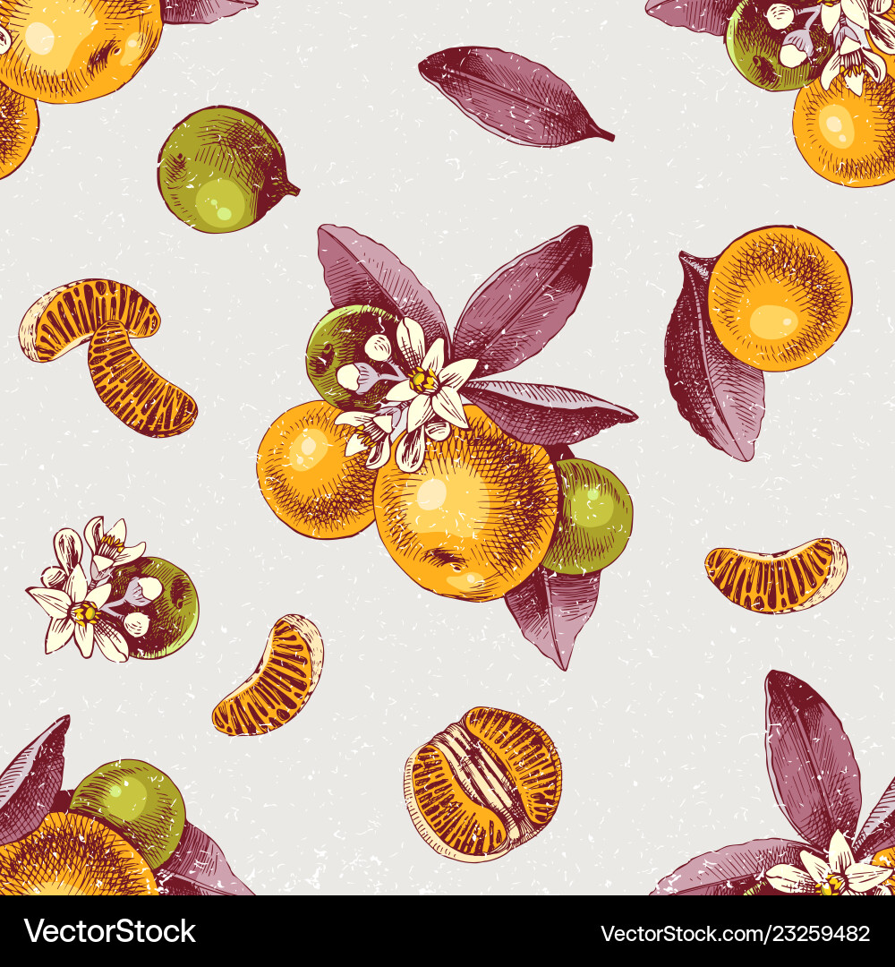 Seamless pattern with mandarin branches and slices Seamless pattern with mandarin branches and slices vector image