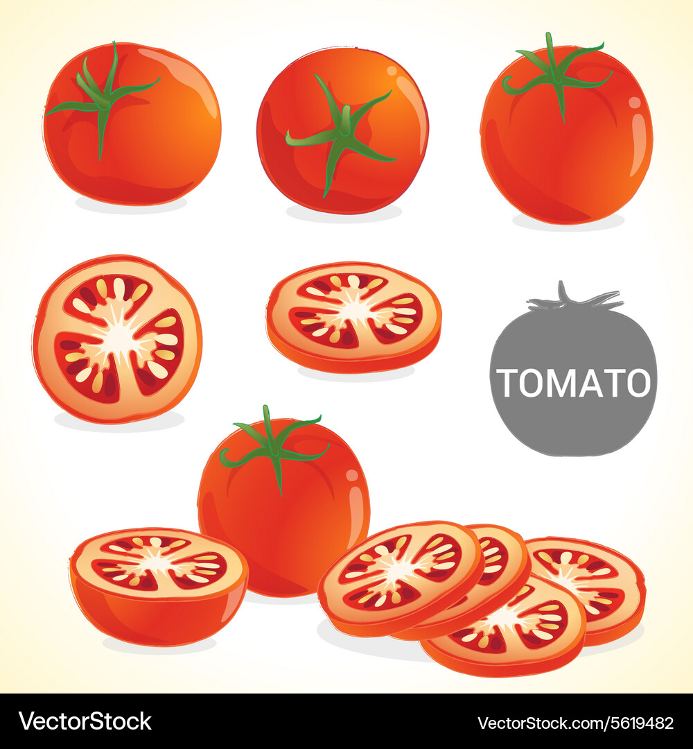 Set of tomato in various styles and format Vector Image