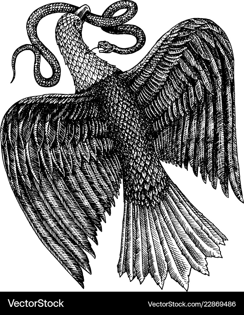 Aquila symbol of freedom an eagle eating a snake Aquila symbol of freedom an eagle eating a snake vector image