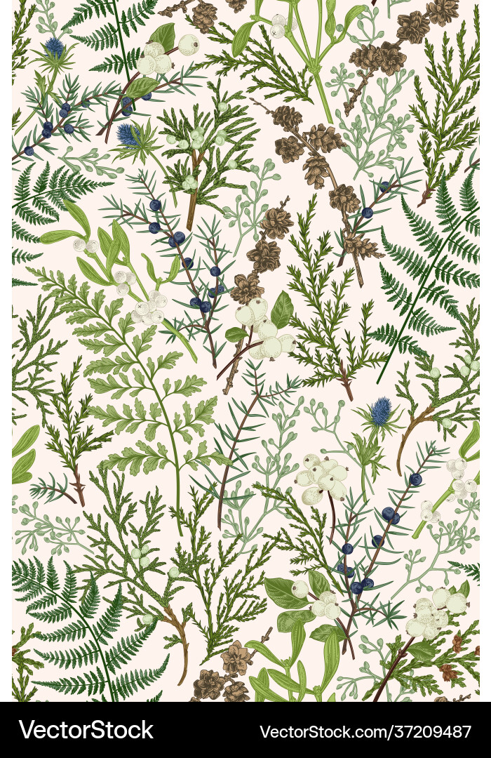 Forest Botanical Pattern vector image