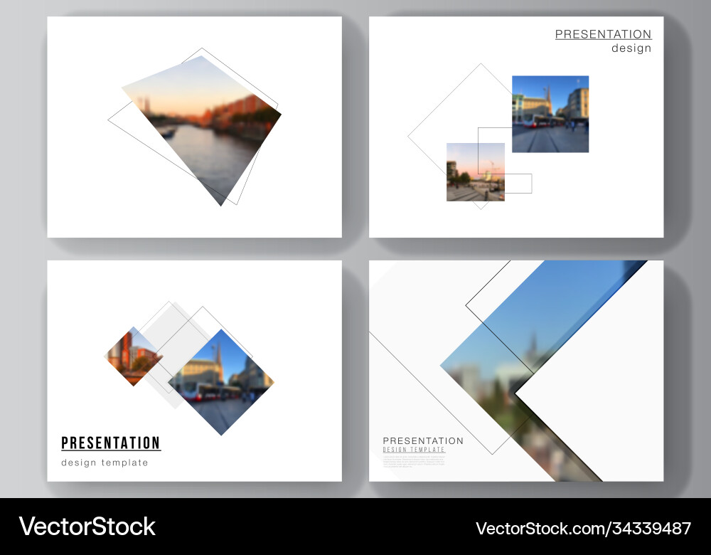 Presentation Slides Layout vector image