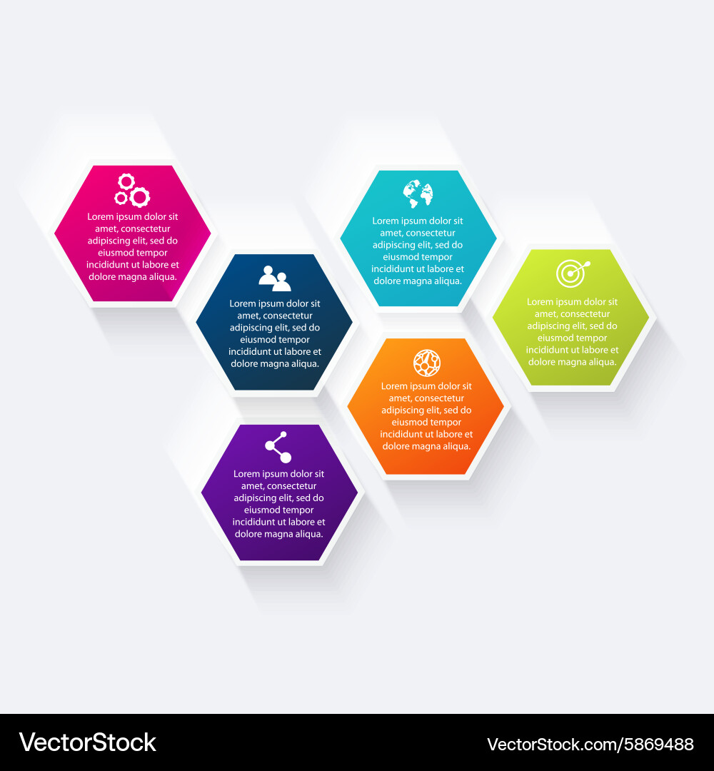 Informative Data Charts & Diagrams vector image