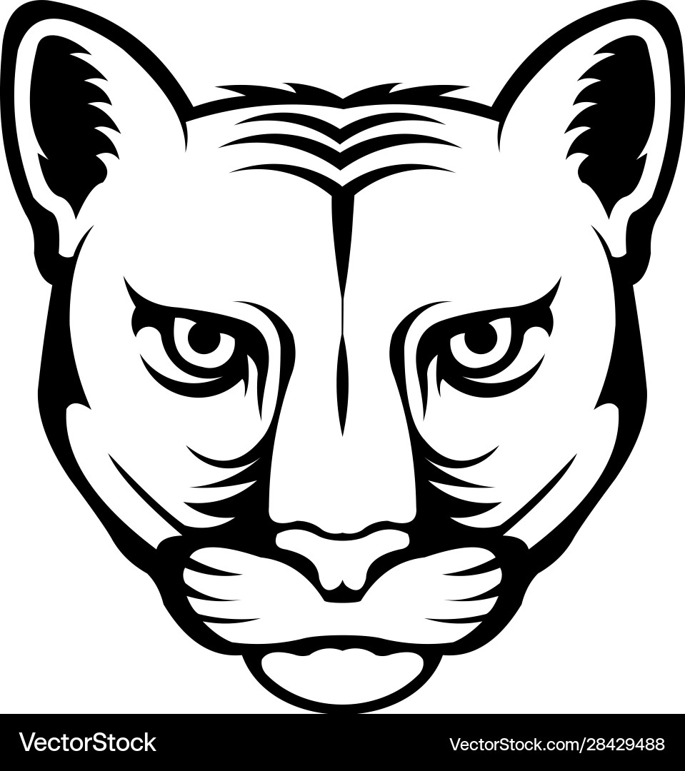 Leopard head logo vector image