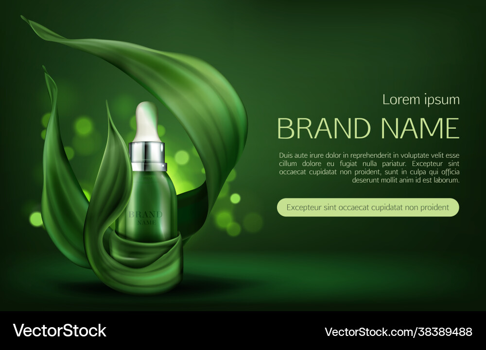 Natural cosmetics skin care serum beauty product Natural cosmetics skin care serum beauty product vector image