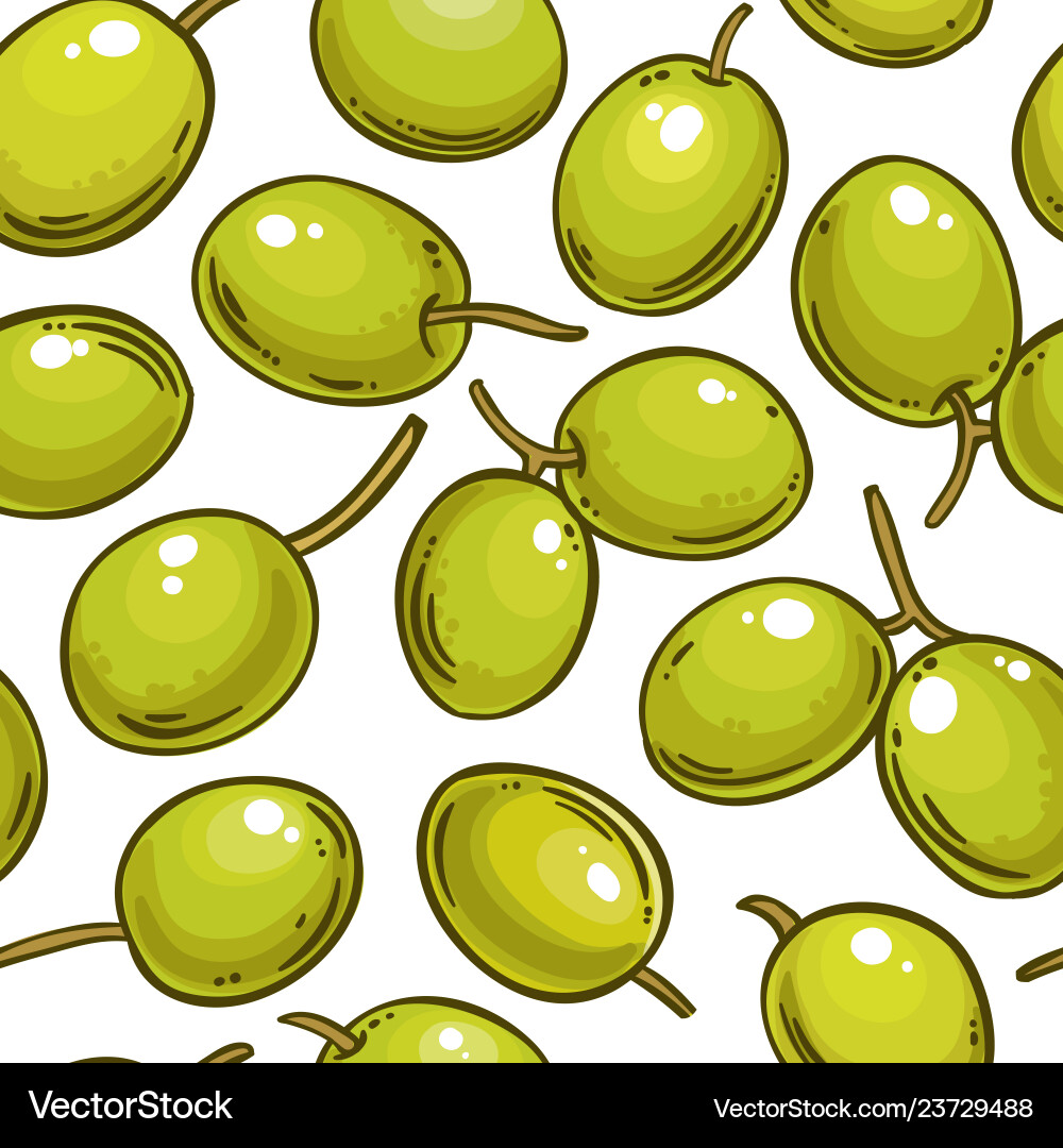 Olive fruit pattern on color background Olive fruit pattern on color background Vector Image