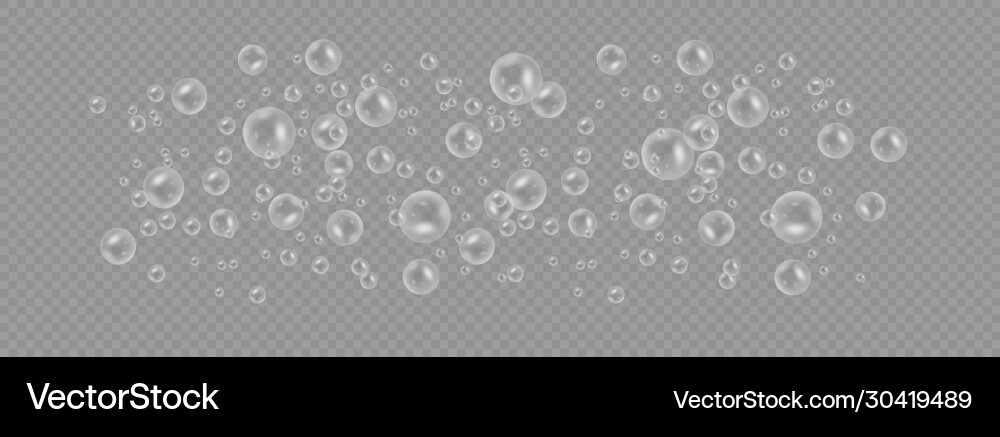 Realistic Soap Bubbles - Transparent Royalty Free Vector