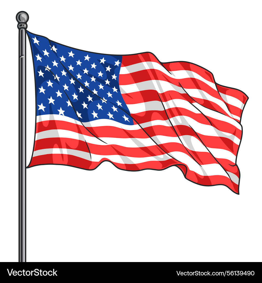 United States Flag Waving vector image