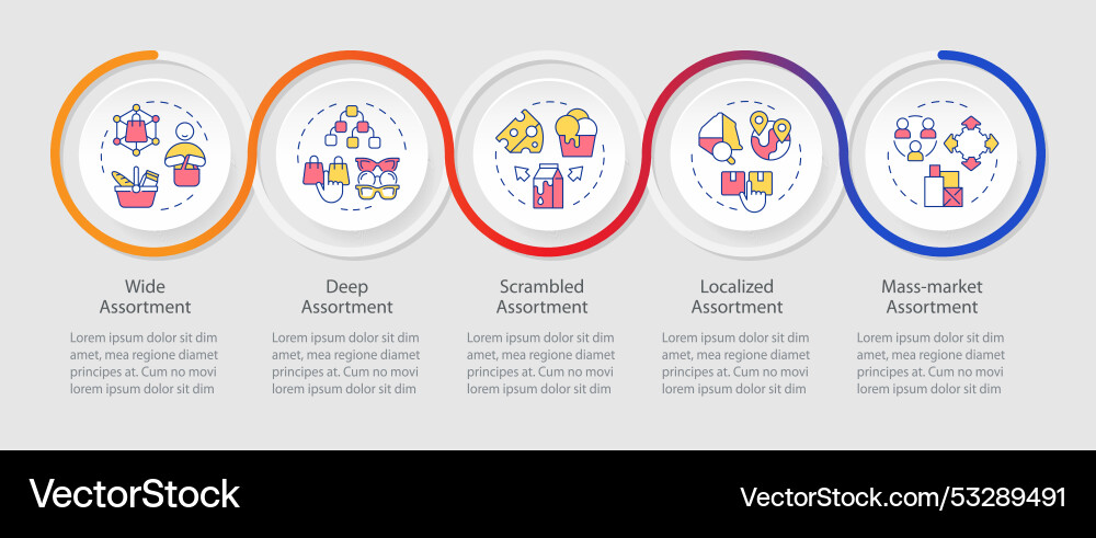 Assortment planning models and types loop Assortment planning models and types loop vector image