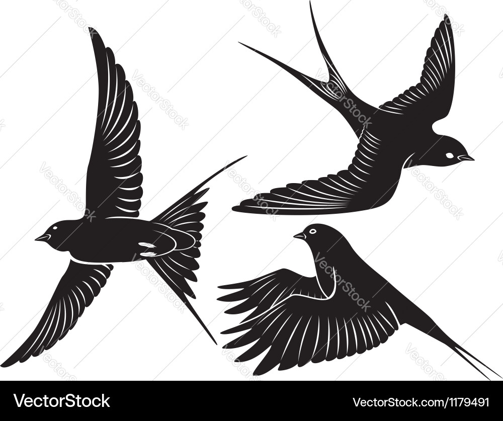 Swallows in Flight Silhouette vector image