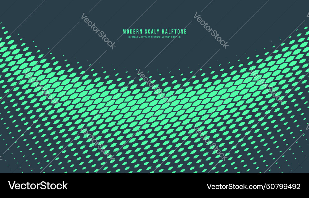 Modern scaly halftone pattern semicircle border vector image