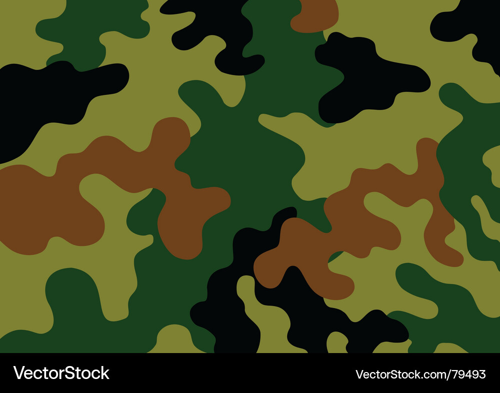 Dynamic Camouflage Pattern Vector Image