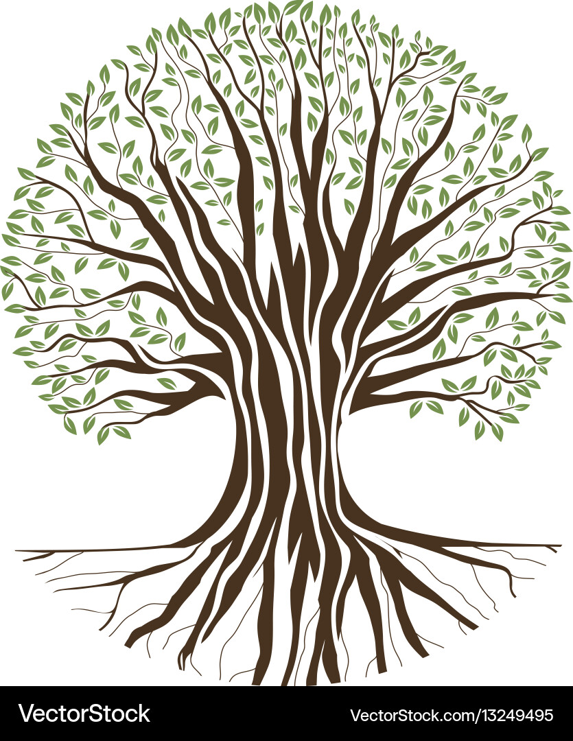 Big Oak Tree Vector 54,015 Oak Tree Stock Photos, High Res Pictures,