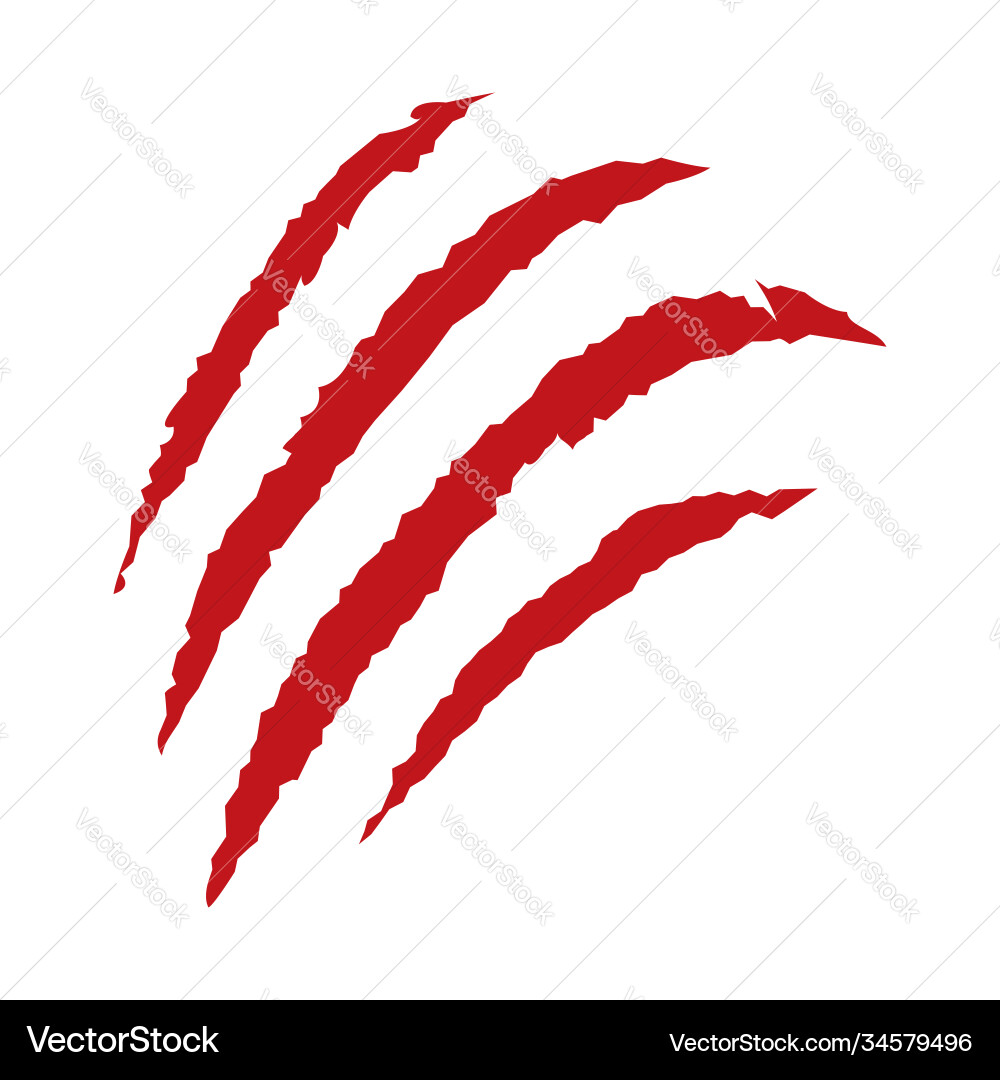 Aggressive Animal Claws vector image
