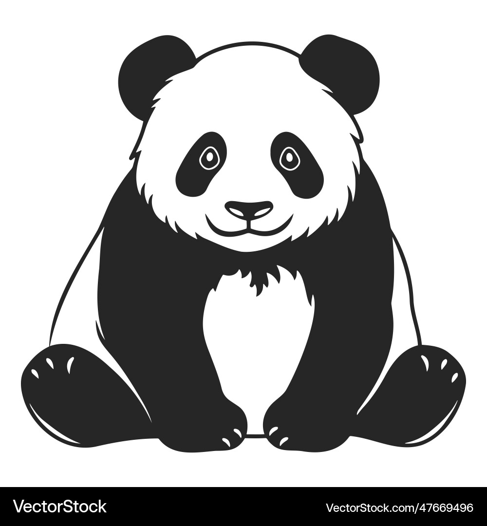 Black and white drawing of a cute young panda vector image