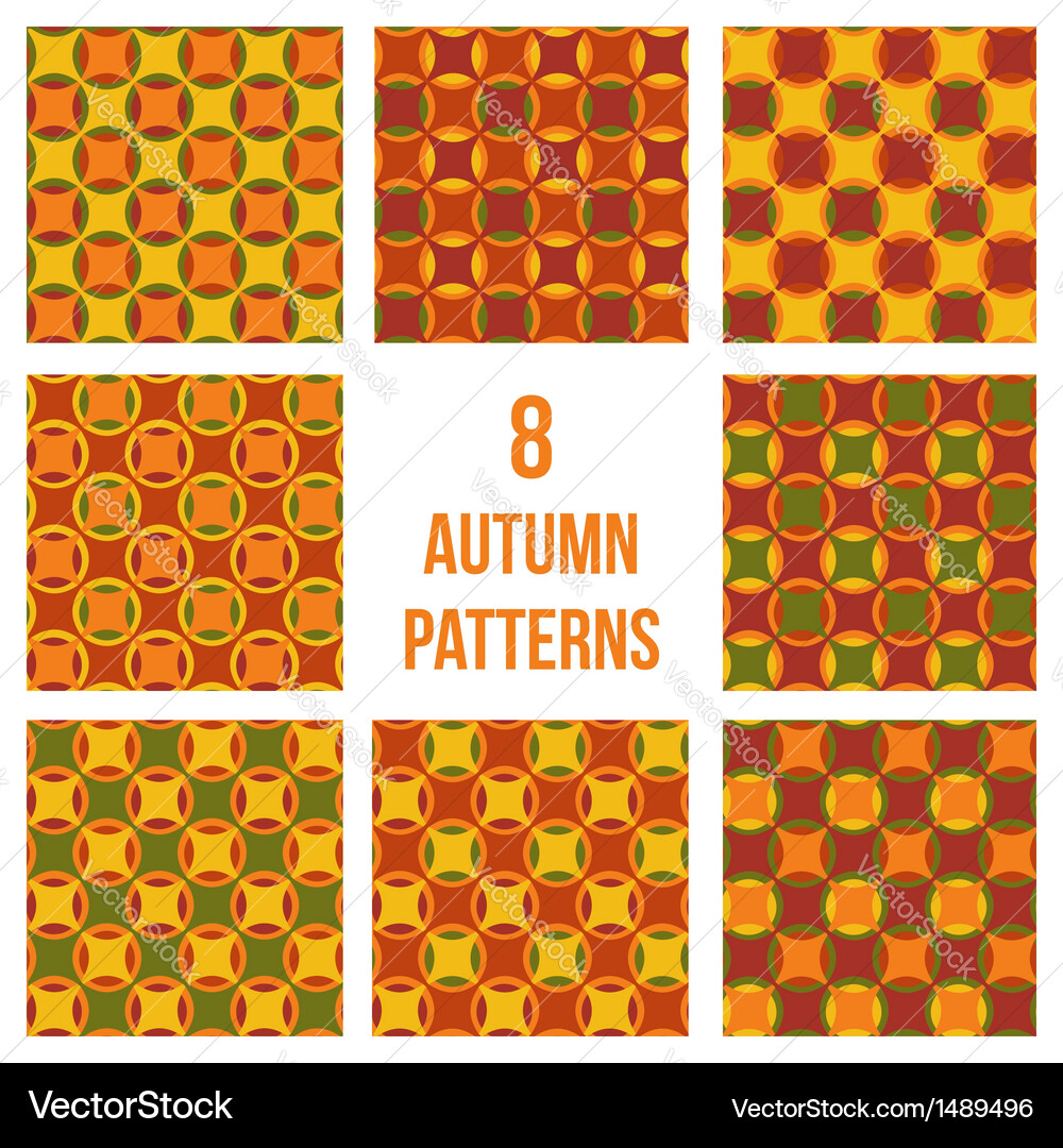 Set of eight seamless patterns Vector Image
