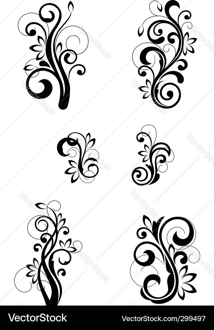 Elegant Floral Swirls vector image