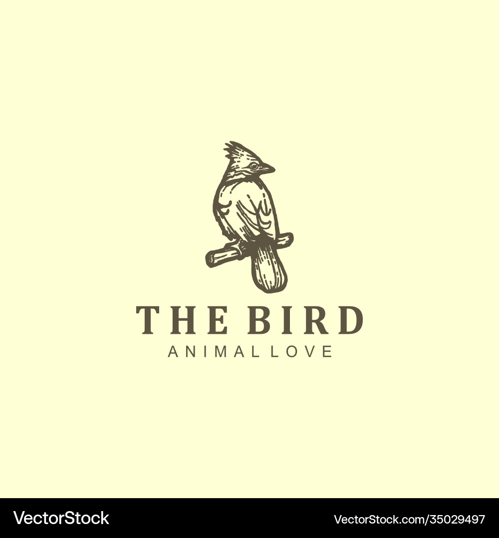 Vogel-Logo Design Outdoor Natur Tier Wildtier Vogel-Logo Design Outdoor Natur Tier Wildtier vektorbild