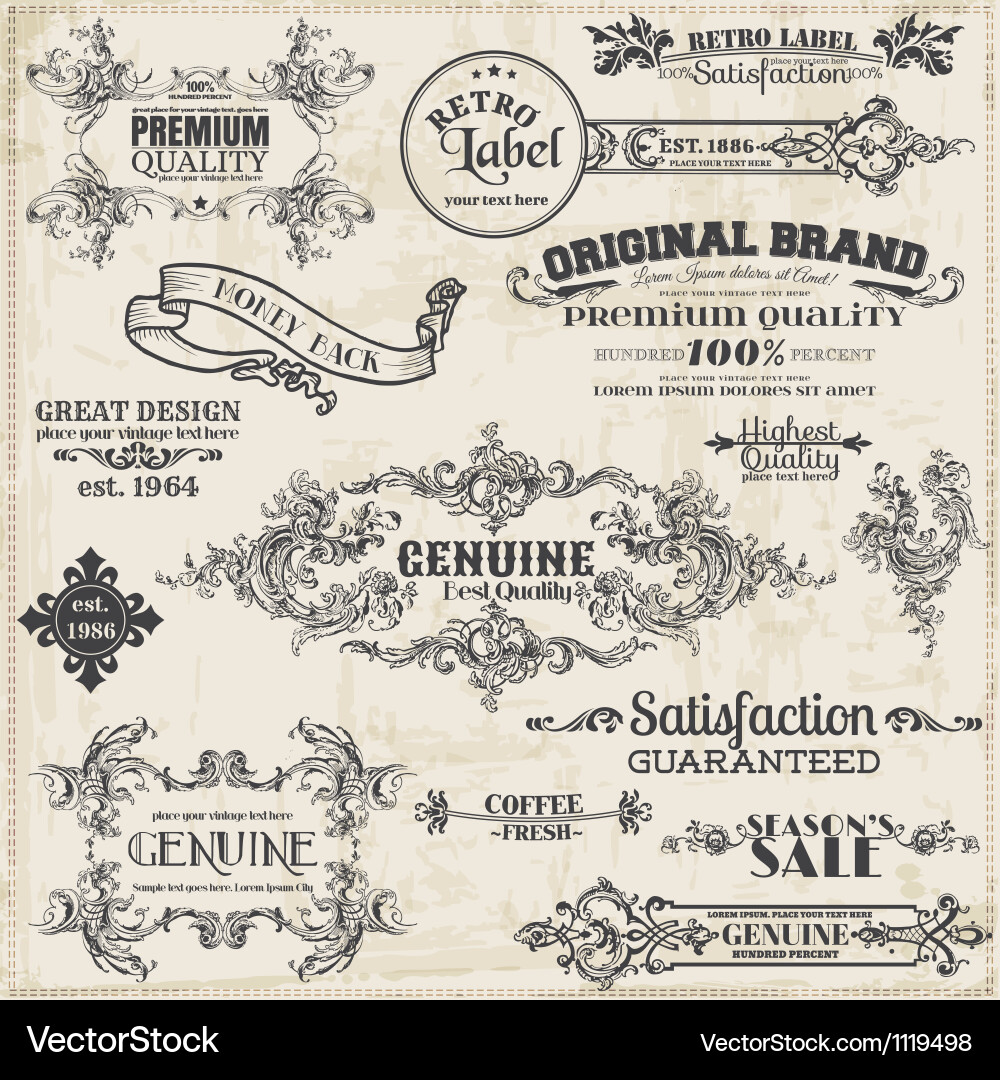 Vintage Floral Frame Collection Vector Image