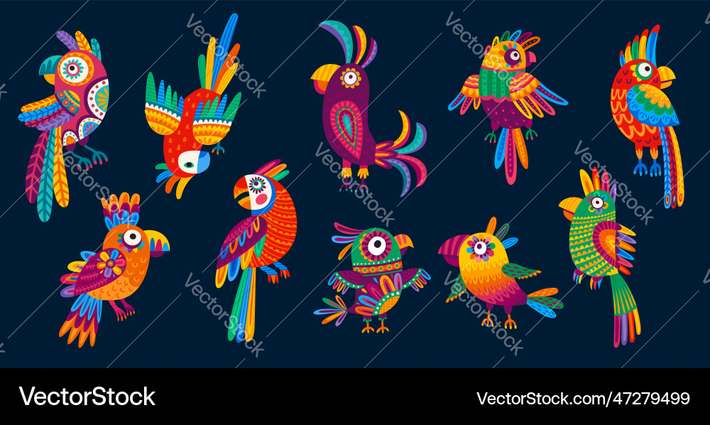 Colorful Mexican & Brazilian Parrots Vector Image